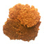Cayenne Cheddar Crunchies - Home Chef's Deli